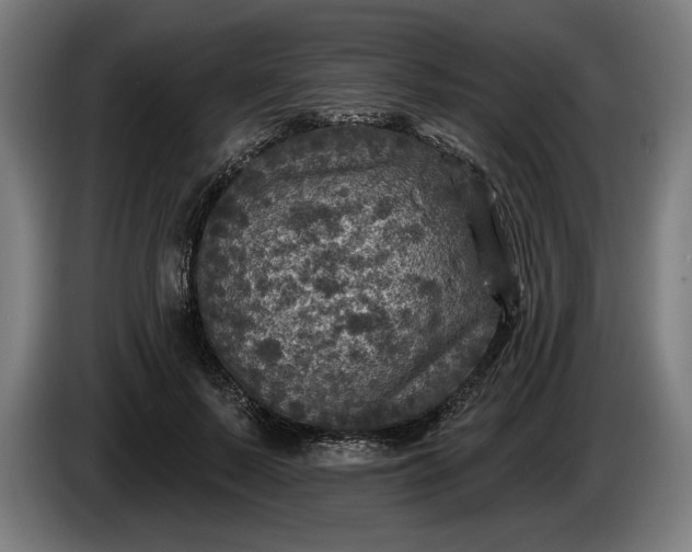 X0000085770695200703301403