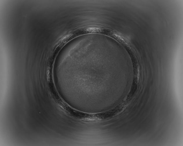 X0000085770696200703301403