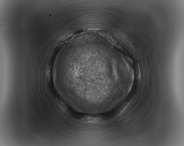 X0000085770697200703301403