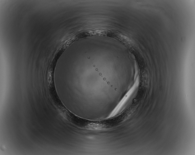 X0000085770699200703301403