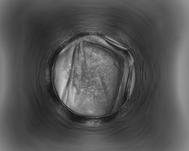 X0000085770700200703301403