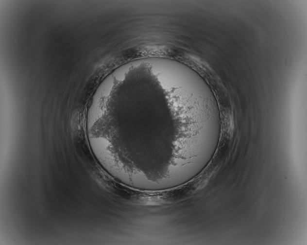 X0000085770701200703301403