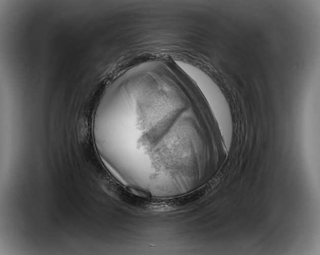 X0000085770704200703301403