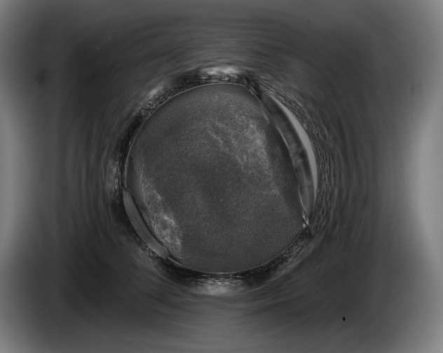 X0000085770708200703301403