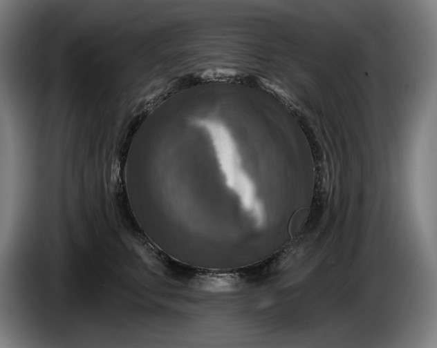 X0000085770711200703301403