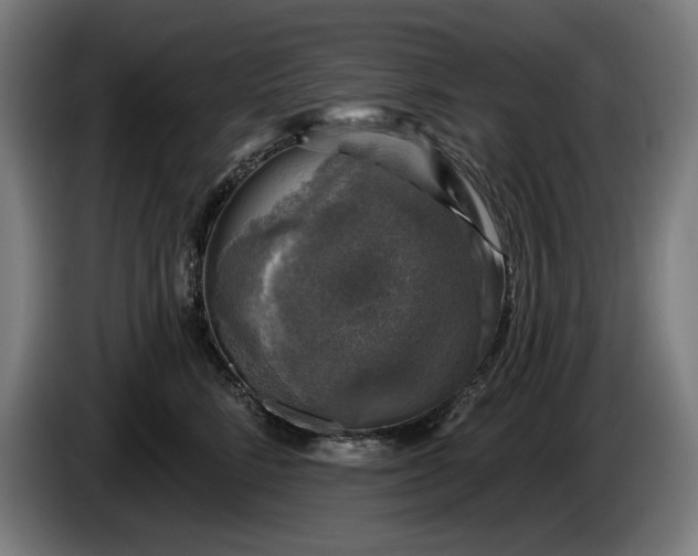 X0000085770712200703301403