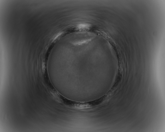 X0000085770716200703301403