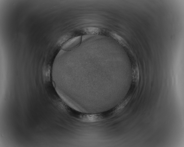 X0000085770717200703301403