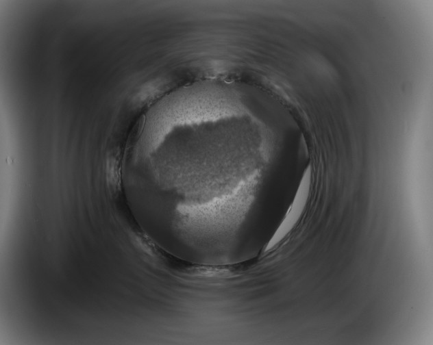 X0000085770719200703301403