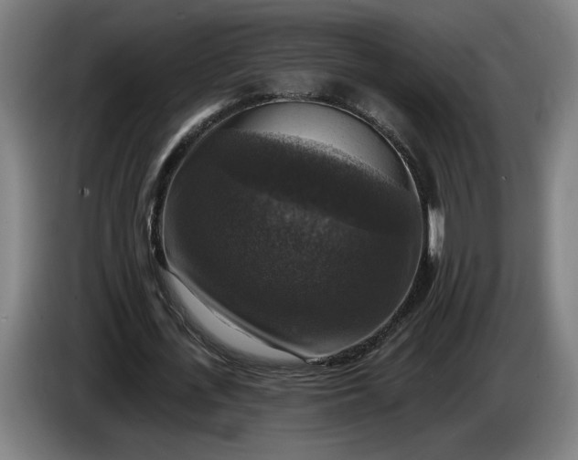 X0000085770723200703301402