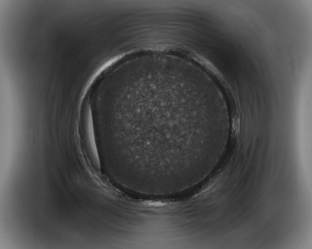 X0000085770724200703301402