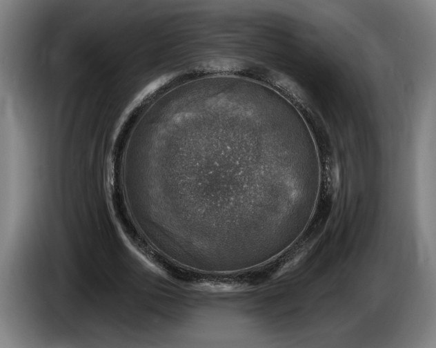 X0000085770726200703301402