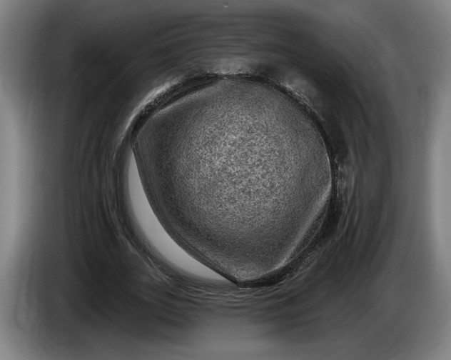 X0000085770727200703301402