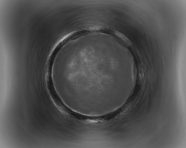 X0000085770728200703301402