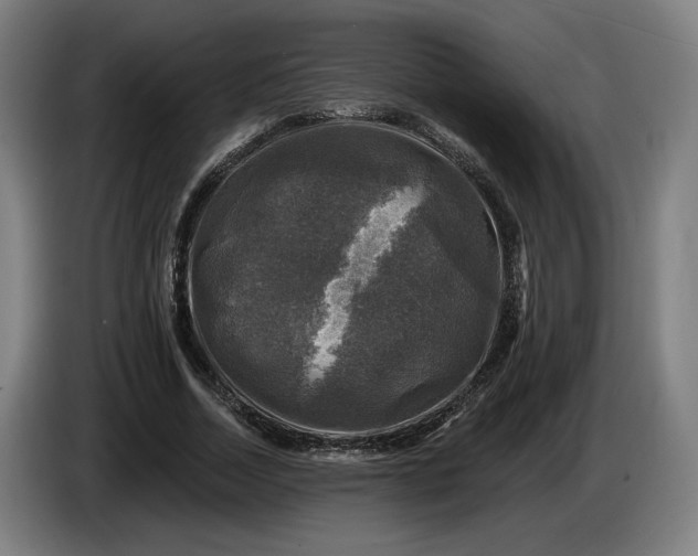 X0000085770730200703301402