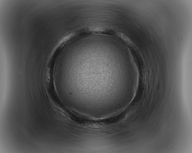 X0000085770731200703301402