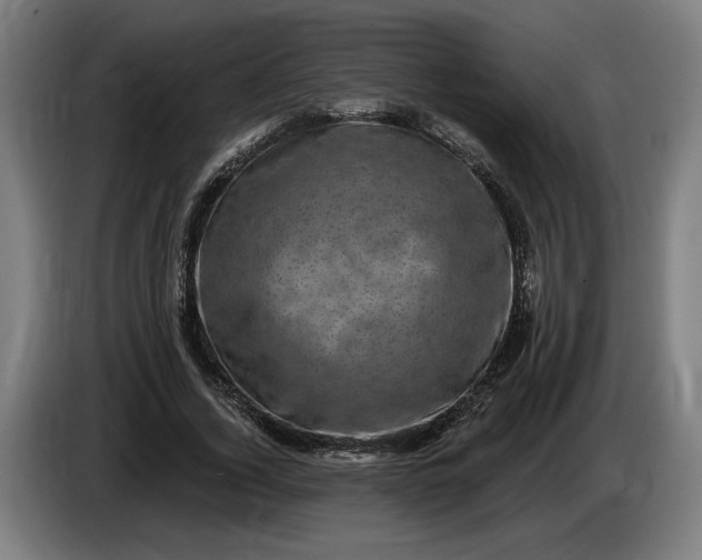 X0000085770732200703301402