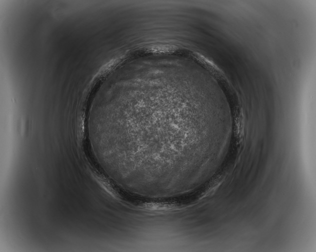 X0000085770733200703301402