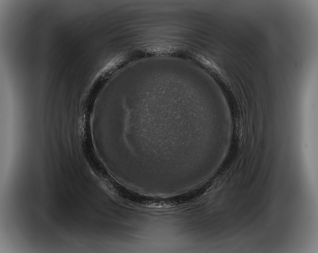 X0000085770735200703301402