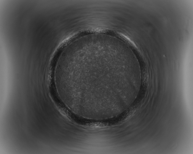 X0000085770736200703301402