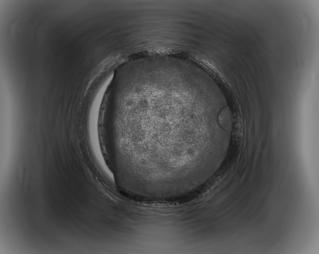 X0000085770738200703301402