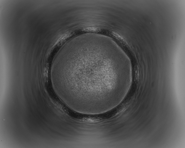 X0000085770739200703301402