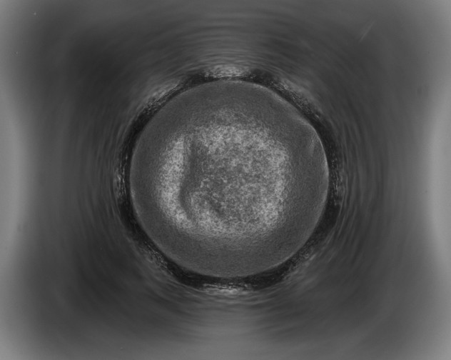 X0000085770743200703301402