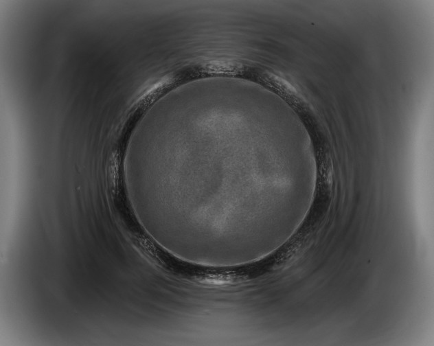 X0000085770744200703301402