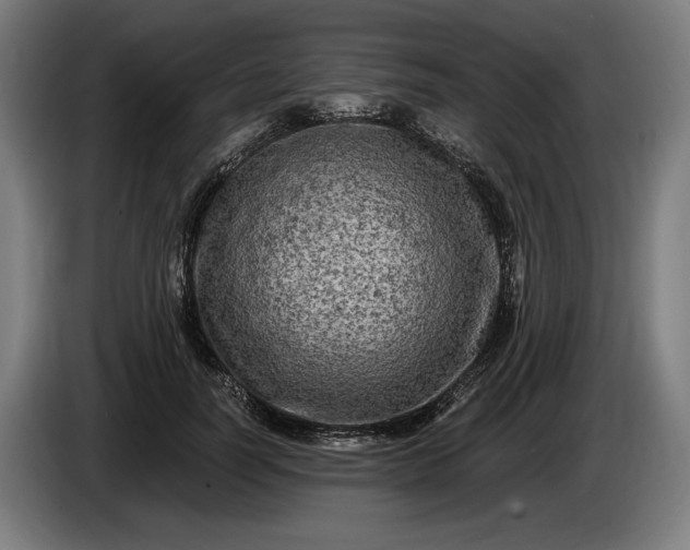 X0000085770746200703301403