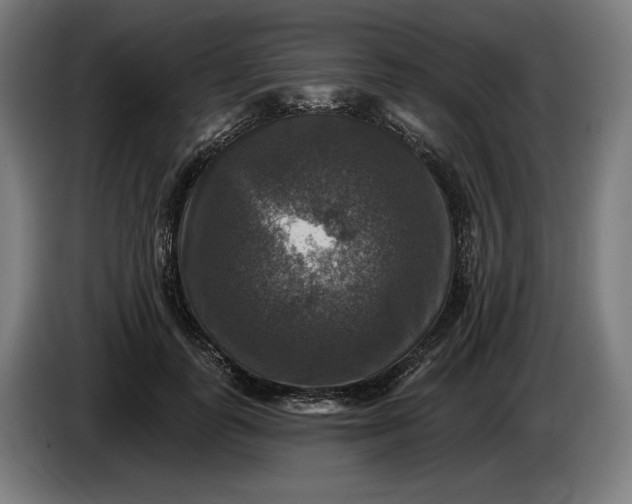 X0000085770747200703301403