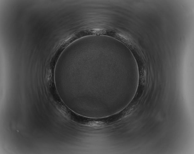 X0000085770748200703301403