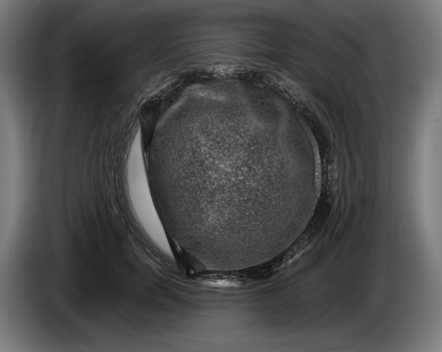 X0000085770750200703301403