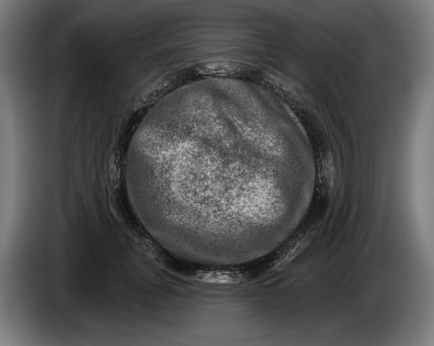 X0000085770751200703301403