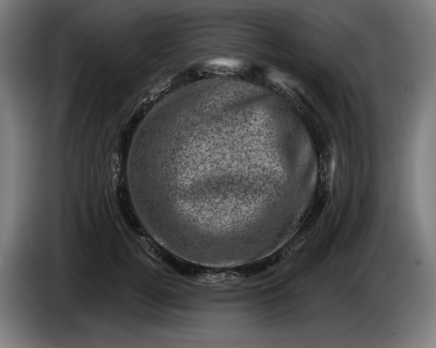 X0000085770752200703301403