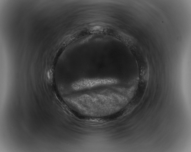 X0000085770753200703301403