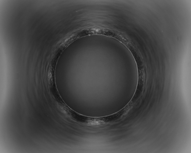 X0000085770754200703301403