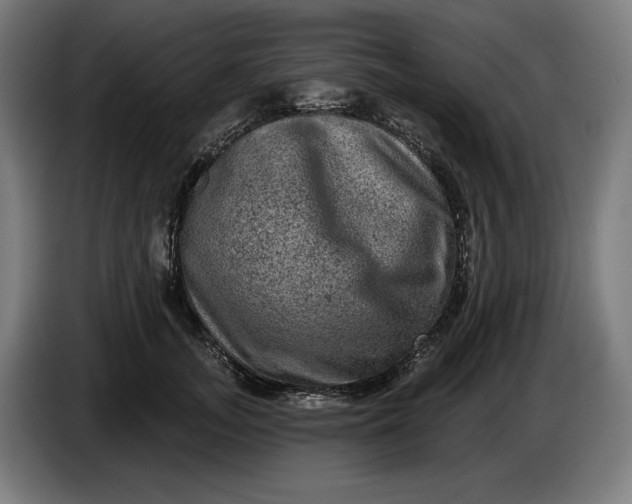 X0000085770755200703301403