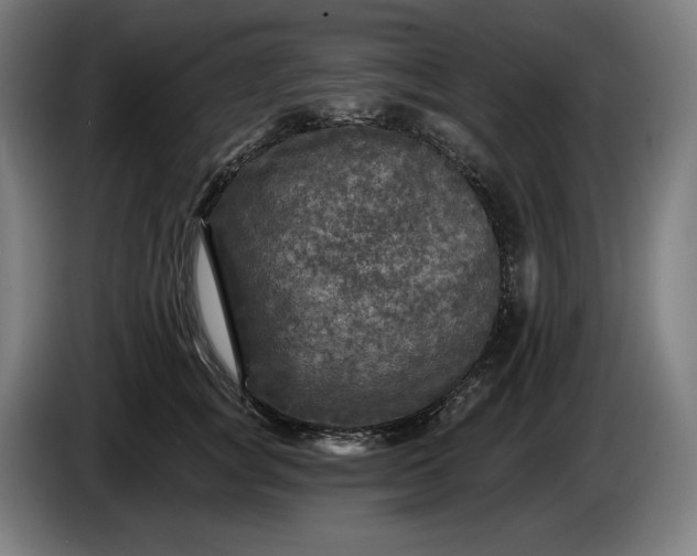 X0000085770757200703301403