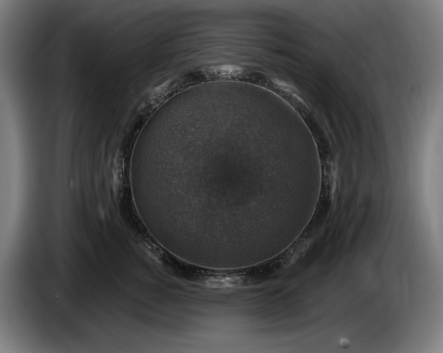 X0000085770760200703301403