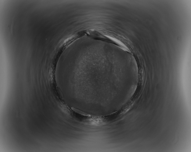 X0000085770762200703301403