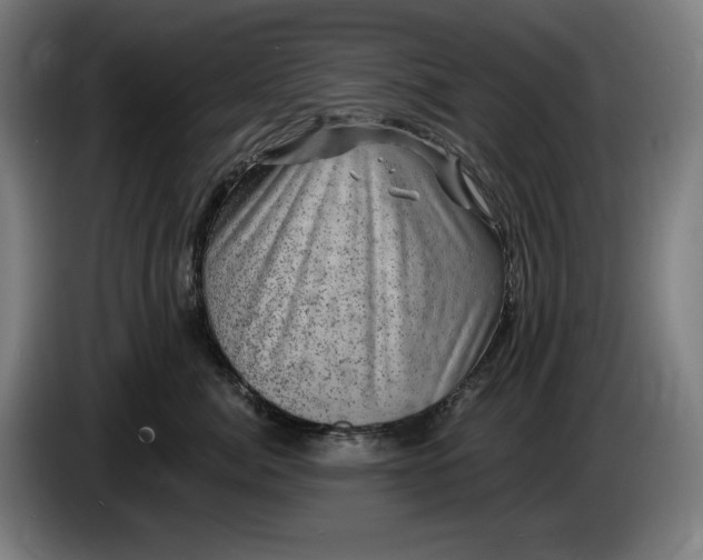 X0000085770764200703301403