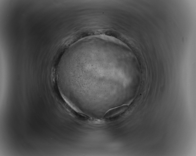 X0000085770768200703301403