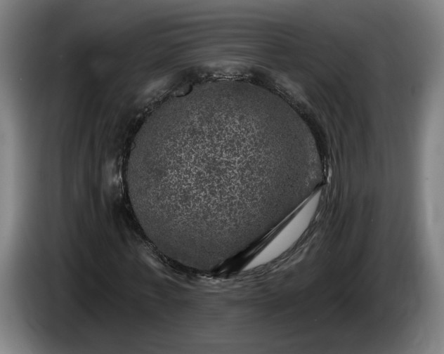 X0000085770771200703301402