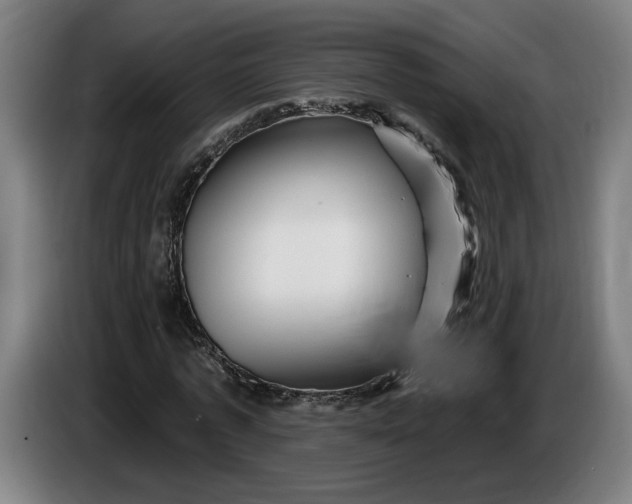 X0000085770773200703301402