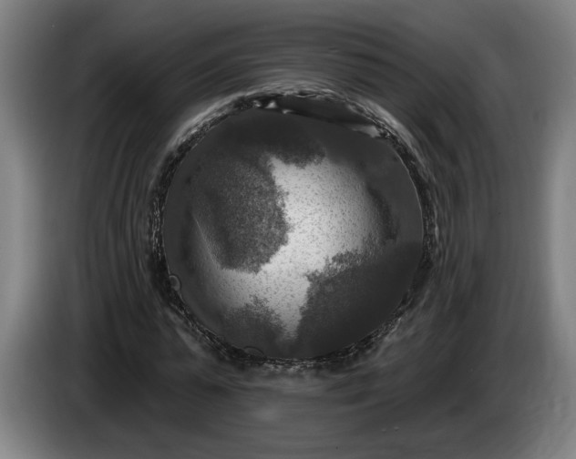 X0000085770775200703301402