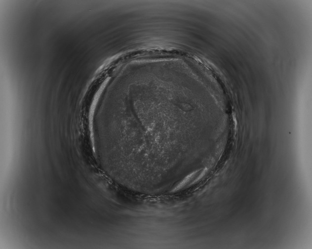 X0000085770776200703301402