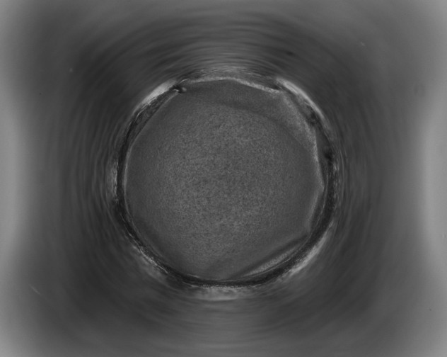 X0000085770777200703301402