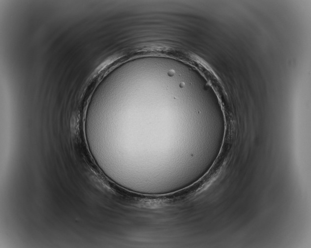 X0000085770778200703301402