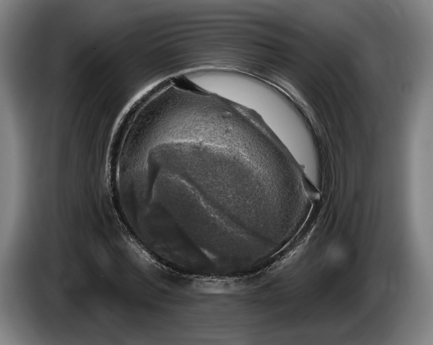 X0000085770780200703301402