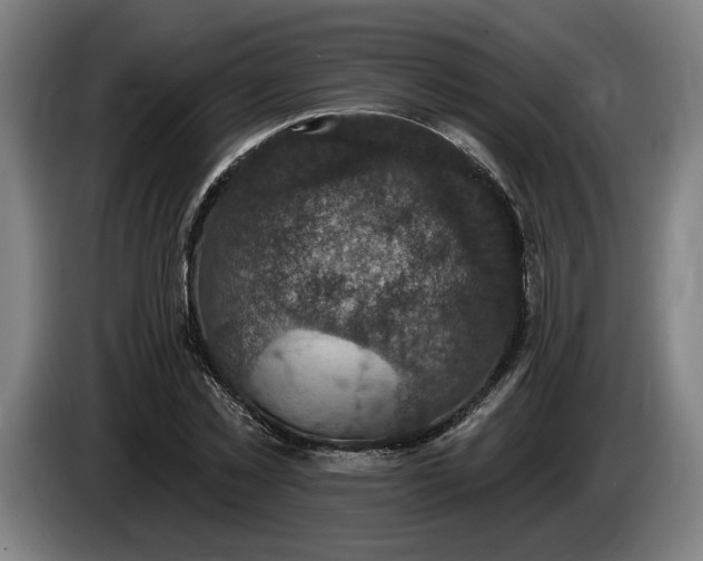 X0000085770781200703301402